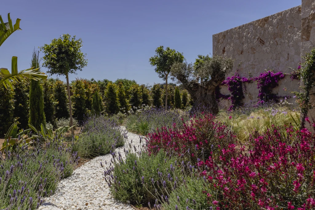 The Collection Sol de Mallorca | Serena Homes The Collection Sol de Mallorca | Serena Homes